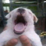 재맘