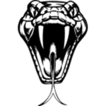 Black Vipers (Ro Ghoul)