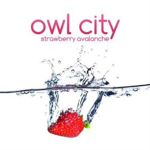 owl city/ adam young fans
