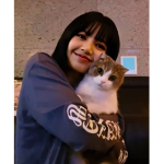 SoyMia23YT