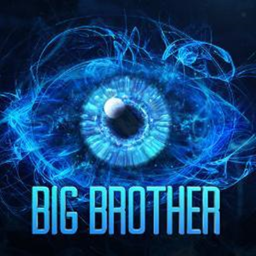 **Big Brother &**