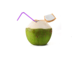 Coconut Palace