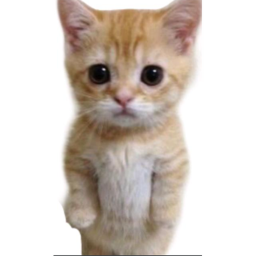 obby de la roca,rambow friends y el gato