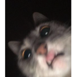P r z e d s z k o l a k i