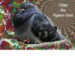 BOb pigeon god