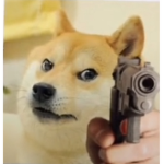 Shiba aninha oficial