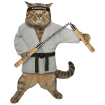 the cobra kai super