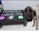 Tuvalet Kağıdı