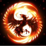 Phoenix HealthCare