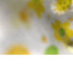 Flowee