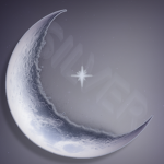 Silver Moon Studio's