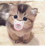 RAAAAAAAHHHHH