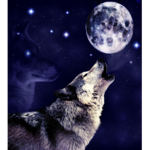Brave Wolf Studios