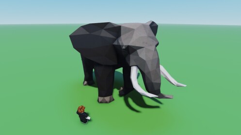 Zoo