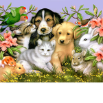 We Luv Animals!!