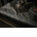 Oliver and Max’s world