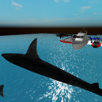 Cuidado Com O Tubarão