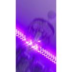 $OCIAL $OCI3TY