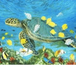 "I LikeTurtles So You Should To"