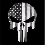 top gun fans