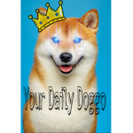 Dogs United(OFFICAL)