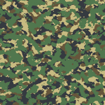 Army Life Nation