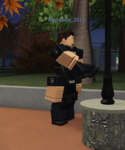 Maple Leaf Air