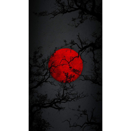 Creepy forest