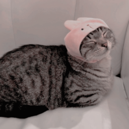 ୨♡୧