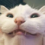 Sup3rSale