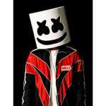 DJ Marshmello gang