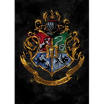 Harry Potter Fan Club Group