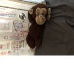 Monkey and wolfy army