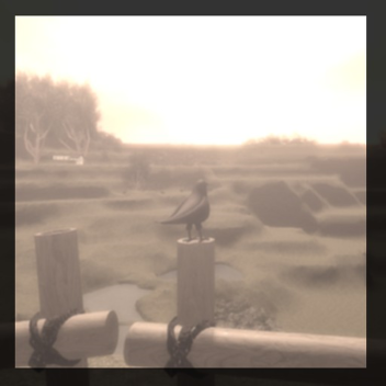 Open Field フィールド