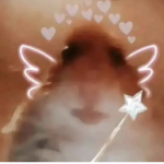 ~FASCICA~