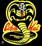 Cobra kai’s (: