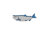 サーモンチャンネル