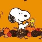 snoopy’s wardrobe ୨୧