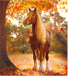 horses100