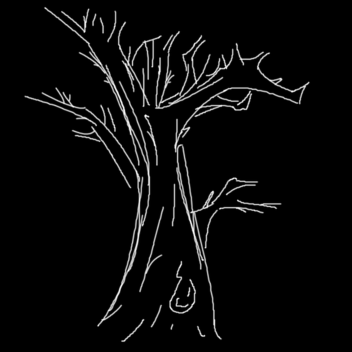 The Thick of a Forgotten Forest