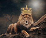 Animal Kingz