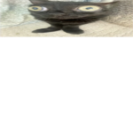 LIL RICE