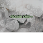 ~ Clxver Lxnd ~