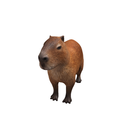 Capybara