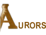 Ministryof magic:Aurors