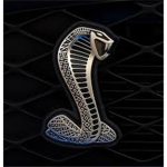 magnificent snakes