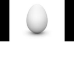 the egg team