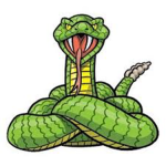 Rattle Snake Studios