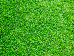 Garden Things Group