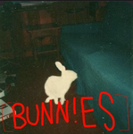 [ BUNN!ES ]